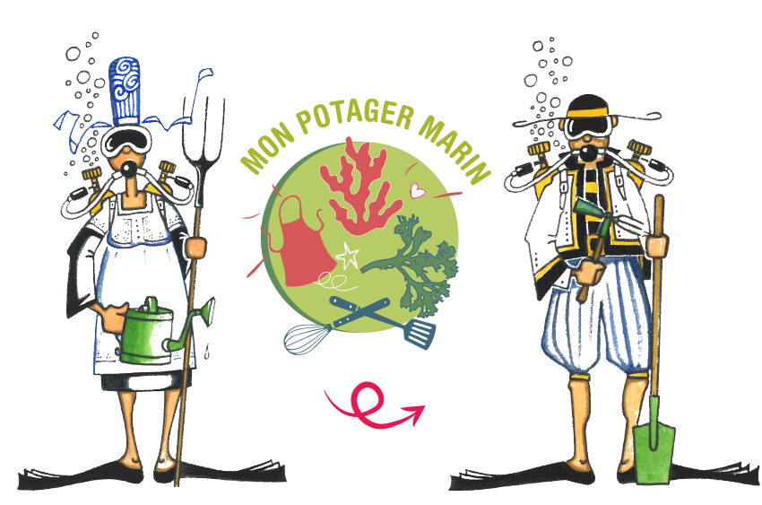 bandeau-potager-marin
